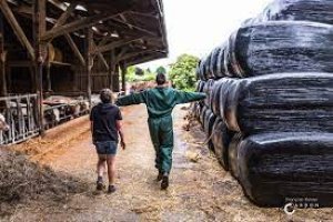 agriculture_sociale.jpg
