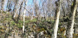 IMG_20220306_115101.jpg