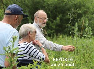 Soralia_IMG_5970_copie.JPG