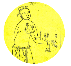 Acupuncture_chart_lung_channel_of_hand_taiyin_Chinese_Wellcome_L0037808.png