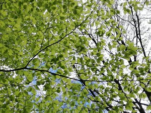 IMG_20190512_152213.jpg