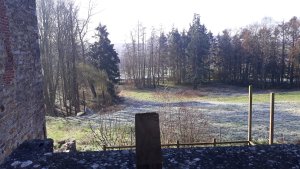 20190319_090353.jpg