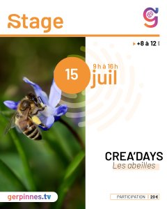 creadays_les_abeilles_postfb.jpg