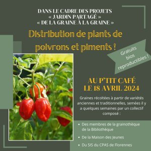 Florennes__potager.jpeg