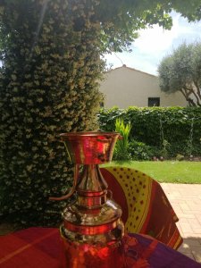 IMG_20230607_145326.jpg