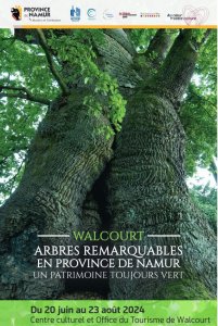 arbres_remarquables.JPG