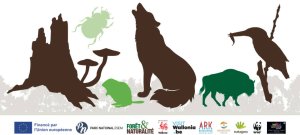 exporewilding21110x500.jpg