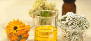 pharmacievegetalescaled1110x500.jpg