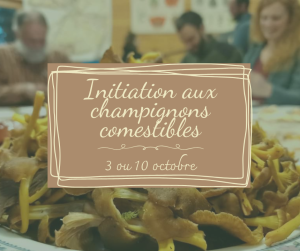 Initiation_champi_00.png