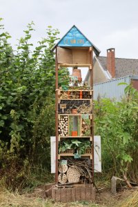 PCS_et_Potager_IMG_6058.JPG