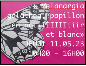 Capture_decran_20230324_a_16.34.16.png