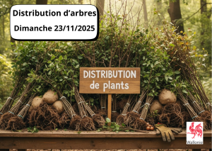 Distribution_arbres_2025IMAGE.png