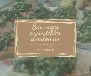 Sauvages_d039automne_00.png
