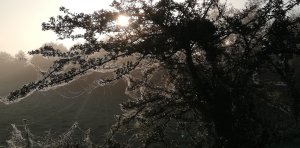 IMG_20211008_083420.jpg