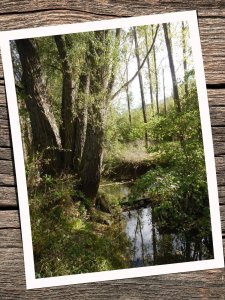 CCW_004_vos_lieux_prfrs.jpeg