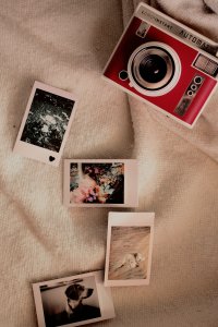 fleurdr63mfXnTwsunsplash.jpg