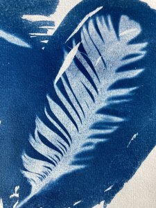 criture_et_illustration_1.jpeg