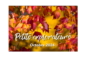 CCW_003_image_stage_petits_explo_automne.png