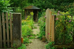 jardin.jpg
