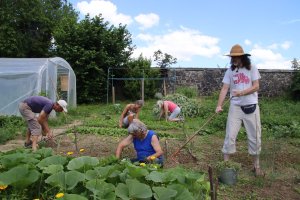 potager_collectif2.jpg