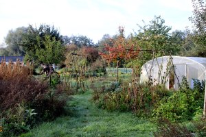 Jardin_Philippe.jpg